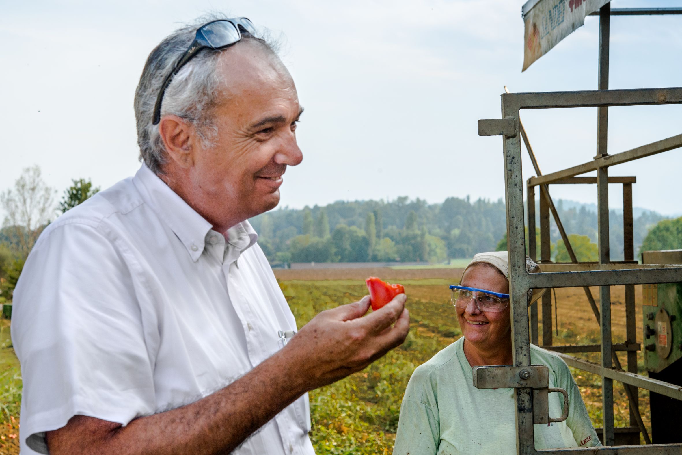 Tomatensaison 2020 von Mutti